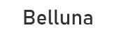 Dachfenster & Belüftung - Belluna Leistungsstarke Dachlüftung mit Insektenschutz, Verdunklung und Fernbedienung.